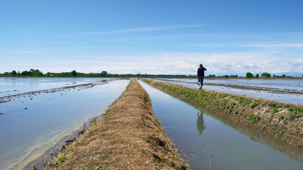 Territorio della Bassa Novarese Territorio Bassa Novarese