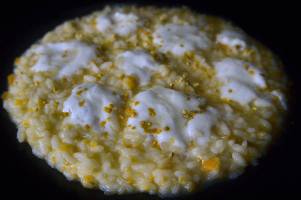 Risotto al Polline di Fiori Yogurt Naturale e Miele di Castagno